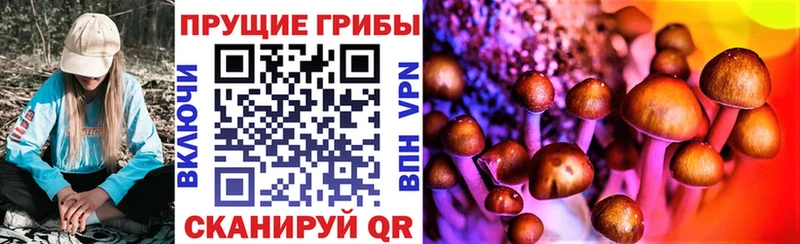 Псилоцибиновые грибы GOLDEN TEACHER  Новотроицк 